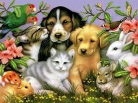 Pet Healing by Claudia